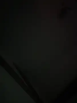 Xcum28 online show from February 2025 12:02:02 PM