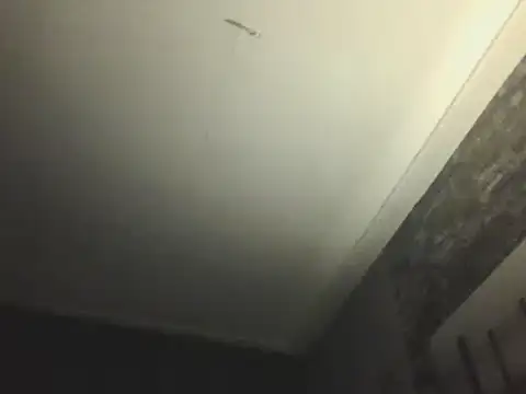 Prehistorixxx2686 online show from January 2025 06:28:02 AM