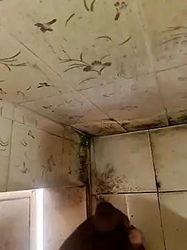 Snapshot of indiasexmf chatting on October 2025 04:33:01 AM indiasexmf online show from October 2025 04:33:01 AM