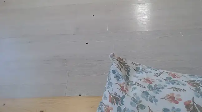 CRISTIINA37 online show from March 2025 12:34:01 PM