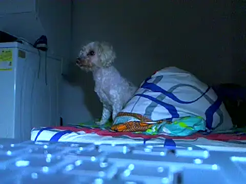 Snapshot of Ian_zaenzz chatting on November 2025 05:09:02 AM Ian zaenzz online show from November 2025 05:09:02 AM