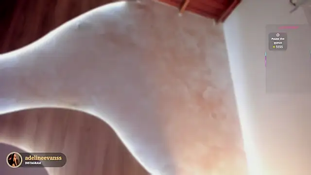 Snapshot of AdelineEvanss chatting on December 2025 07:41:01 PM AdelineEvanss online show from December 2025 07:41:01 PM