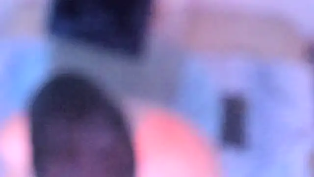 stillwild online show from December 2025 10:20:01 AM