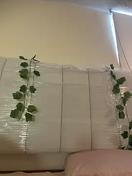 Megan Rodrigo online show from March 2026 02:12:01 PM