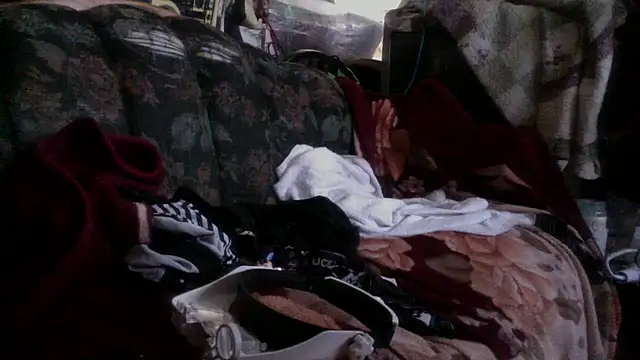 Phelyxx elgato online show from December 2024 12:12:01 AM