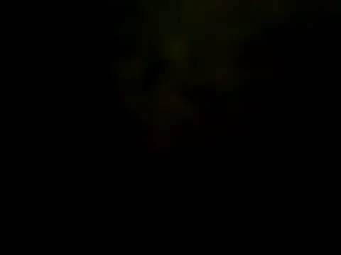 Snapshot of pinnklinkk chatting on January 2025 08:29:01 AM pinnklinkk online show from January 2025 08:29:01 AM