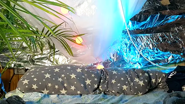 Snapshot of Jony_Marta chatting on October 2025 09:40:01 AM Jony Marta online show from October 2025 09:40:01 AM