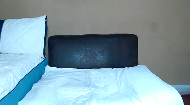 Snapshot of AdelaideT chatting on December 2024 10:47:02 PM AdelaideT online show from December 2024 10:47:02 PM