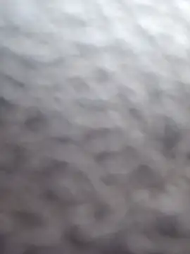 cdressupdiva online show from February 2025 10:26:02 PM