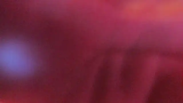 Samaantha-White online show from December 2025 11:40:02 AM