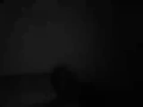 jackbigcock11 online show from December 2025 12:01:02 PM