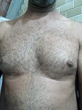 Sergipano fogozinho online show from November 2025 03:07:01 AM