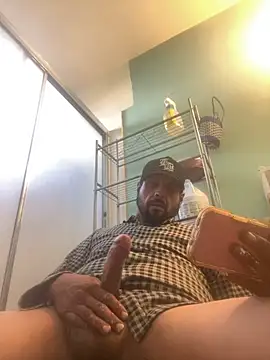 MrDickUdown24 7 online show from November 2025 04:09:02 PM