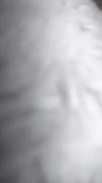 Ajhustler1xh online show from January 2026 11:46:02 AM