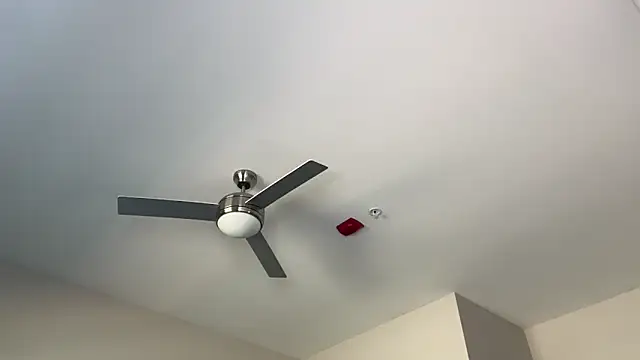 Snapshot of ElenaErickson chatting on March 2025 08:32:02 PM ElenaErickson online show from March 2025 08:32:02 PM