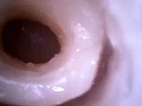 Snapshot of Beijing2000 chatting on December 2024 12:29:02 PM Beijing2000 online show from December 2024 12:29:02 PM