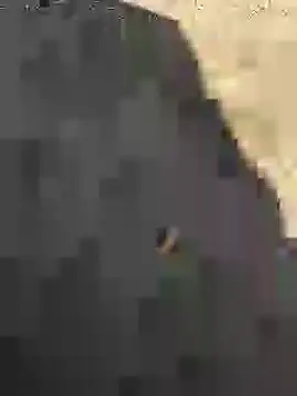 Snapshot of Beijing2000 chatting on January 2025 05:14:02 AM Beijing2000 online show from January 2025 05:14:02 AM