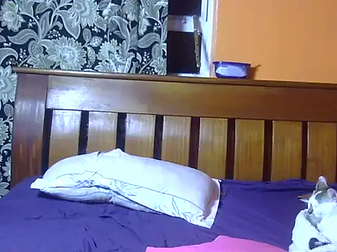 Snapshot of sexysandy20 chatting on March 2026 07:52:02 PM sexysandy20 online show from March 2026 07:52:02 PM