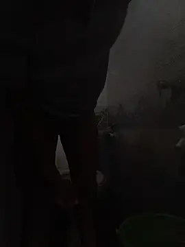 Snapshot of Shivaa- chatting on March 2026 11:49:01 AM Shivaa- online show from March 2026 11:49:01 AM