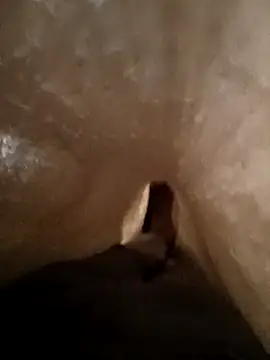 Snapshot of Shivaa- chatting on March 2026 08:19:01 AM Shivaa- online show from March 2026 08:19:01 AM