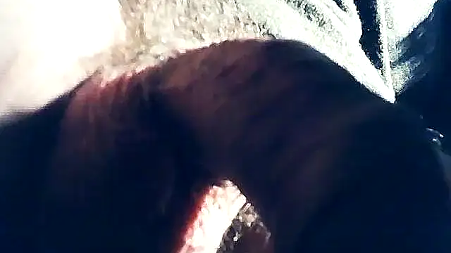 wedge75 online show from February 2025 10:29:02 PM