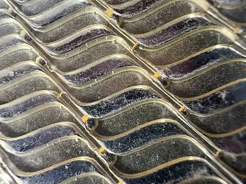 Amarok39 online show from January 2025 05:06:01 PM