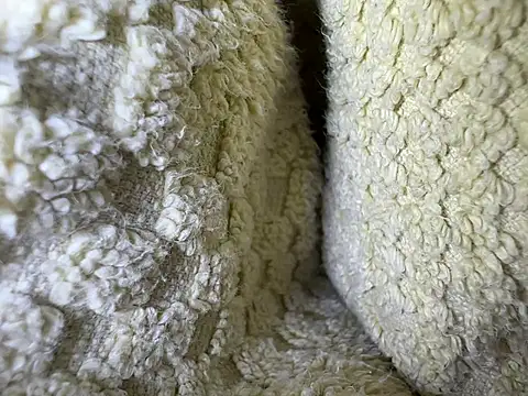 Amarok39 online show from February 2025 12:54:01 PM