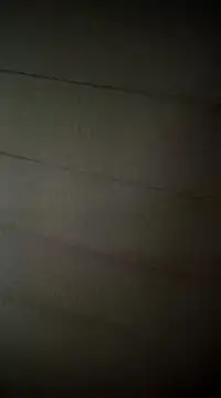 poussychats online show from February 2025 05:04:01 AM