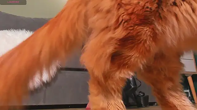 mistresslecter online show from March 2026 03:54:01 AM