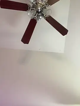 Snapshot of shaarebaare chatting on February 2025 10:43:01 PM shaarebaare online show from February 2025 10:43:01 PM