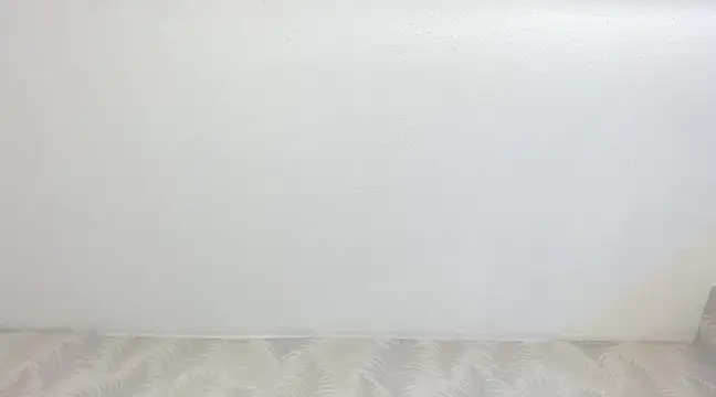 Snapshot of KasandraPhillips chatting on February 2025 10:33:01 PM KasandraPhillips online show from February 2025 10:33:01 PM