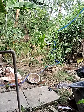 Snapshot of HotSexyBoudi chatting on April 2026 08:51:02 AM HotSexyBoudi online show from April 2026 08:51:02 AM