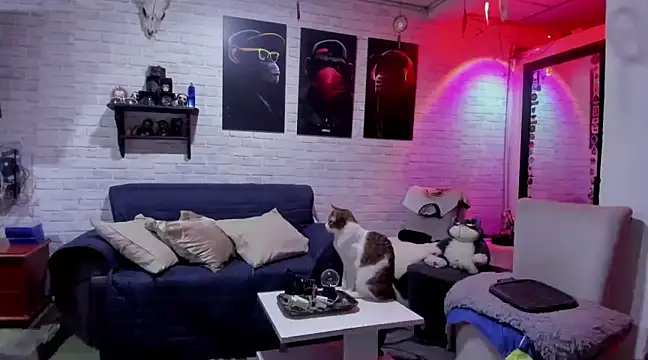 Snapshot of Kimmymadison- chatting on December 2024 11:13:02 PM Kimmymadison- online show from December 2024 11:13:02 PM