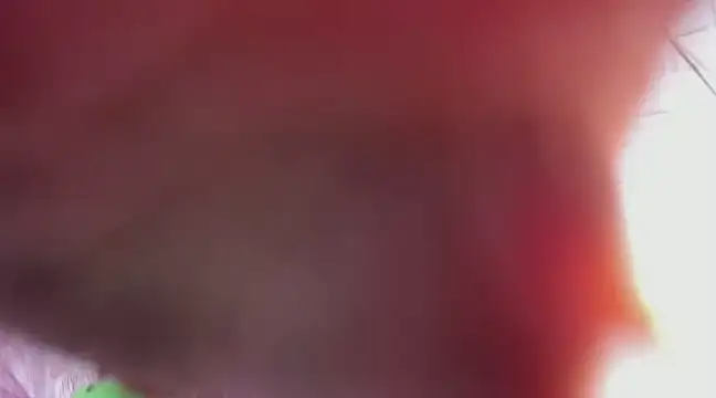 Snapshot of Kimmymadison- chatting on March 2025 06:39:02 AM Kimmymadison- online show from March 2025 06:39:02 AM