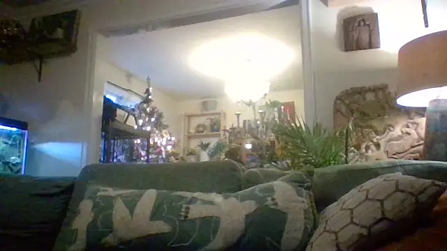 trash4cash online show from December 2024 10:16:01 PM