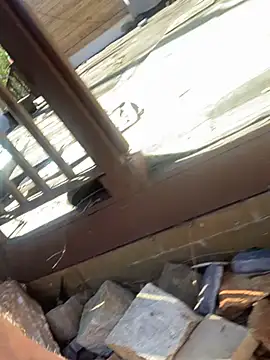 trash4cash online show from February 2025 07:58:02 PM