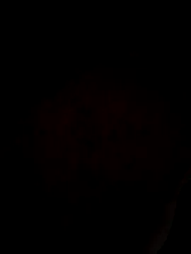 ySqmbVanbe online show from March 2026 03:08:02 AM