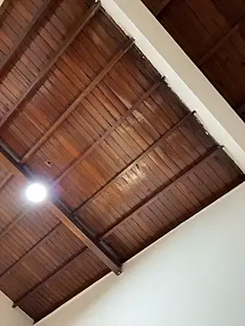 emiss  online show from February 2026 02:37:02 PM