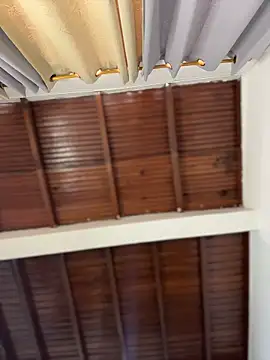 emiss  online show from March 2026 06:25:02 PM