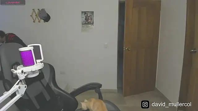 David Brown18 online show from January 2025 12:16:01 AM