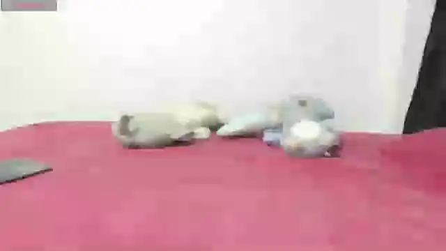 Mayte sexy online show from February 2025 12:16:01 AM