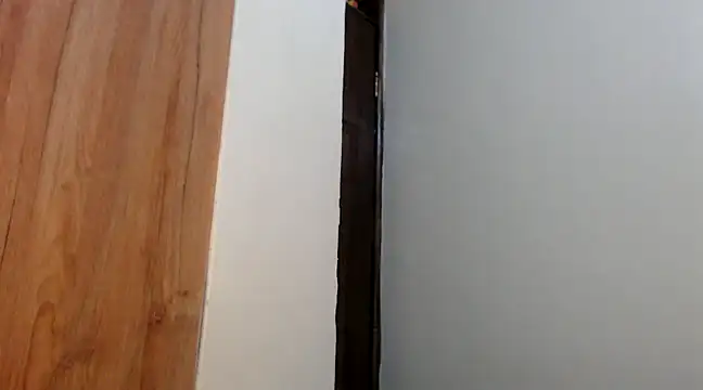 wetpussy ebony online show from February 2025 06:22:01 AM