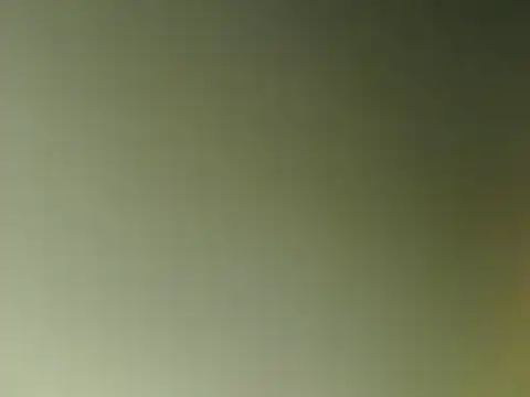 lovense test04 online show from March 2025 09:56:01 AM