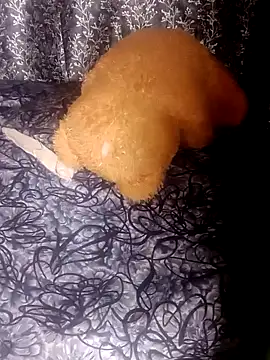 Snapshot of shuhana_ chatting on January 2025 01:18:02 AM shuhana online show from January 2025 01:18:02 AM