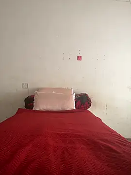 Gifttheskimaskboy online show from August 2026 11:37:01 AM