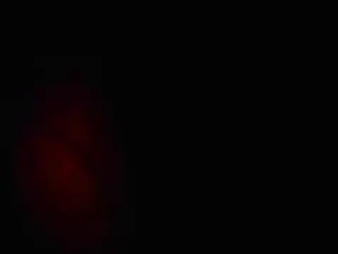 Snapshot of L0cKyseven77 chatting on February 2025 10:48:02 AM L0cKyseven77 online show from February 2025 10:48:02 AM