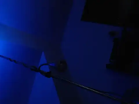 Snapshot of FleshlightFan chatting on January 2025 08:31:02 PM FleshlightFan online show from January 2025 08:31:02 PM