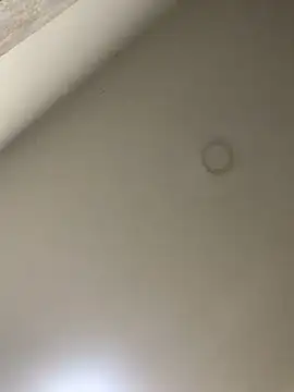 Zarah Blare online show from January 2025 11:27:01 PM