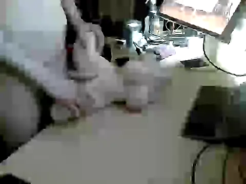 Snapshot of freaksofcock chatting on March 2026 04:34:02 PM freaksofcock online show from March 2026 04:34:02 PM