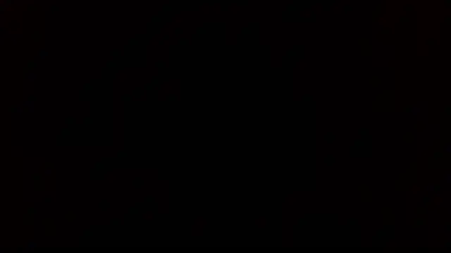 SexWorkerX online show from November 2025 12:19:02 PM